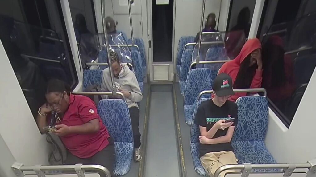 Fatal Stabbing on Light Rail Train Stuns Passengers