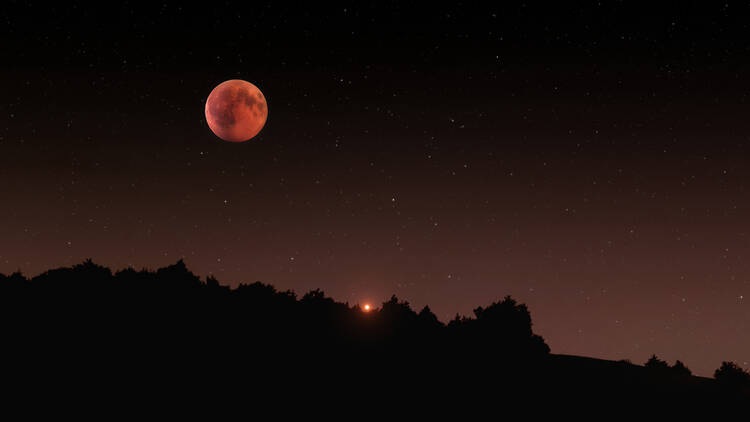 Best Locations for Viewing the 2025 Blood Moon